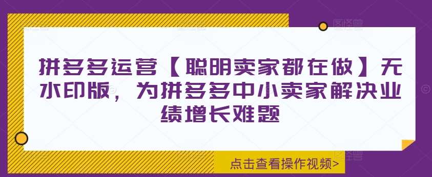 拼多多运营【聪明卖家都在做】无水印版，为拼多多中小卖家解决业绩增长难题插图