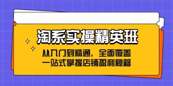 （12276期）淘系实操精英班：从入门到精通，全面覆盖，一站式掌握店铺盈利秘籍插图