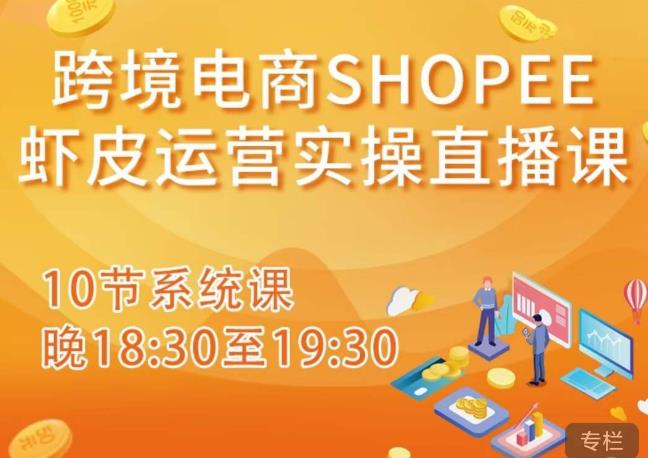 跨境电商Shopee虾皮运营实操直播课，从零开始学，入门到精通（10节系统课）插图