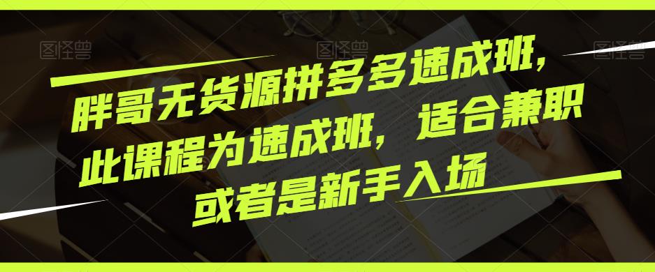 胖哥无货源拼多多速成班，此课程为速成班，适合兼职或者是新手入场插图