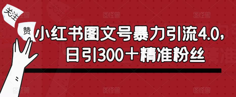 小红书图文号暴力引流4.0，日引300＋精准粉丝【揭秘】插图