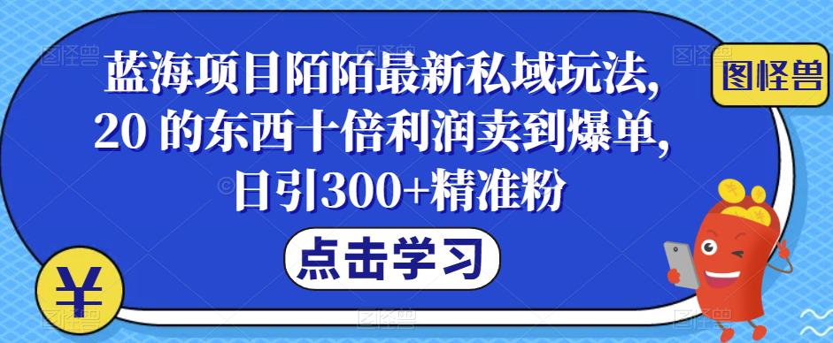 蓝海项目陌陌最新私域玩法，20 的东西十倍利润卖到爆单，日引300+精准粉【揭秘】插图