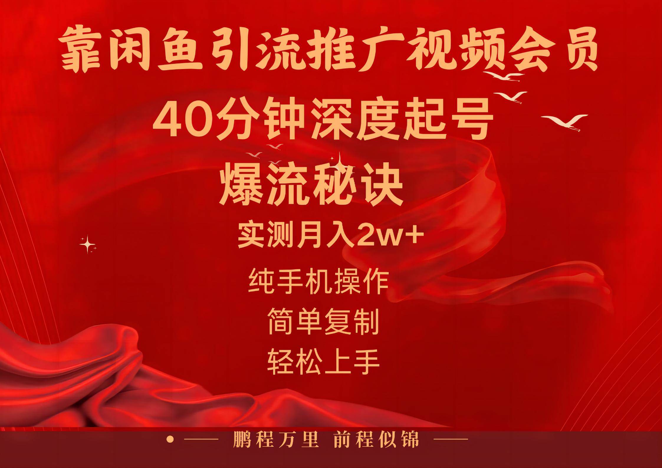 （10896期）闲鱼暴力引流推广视频会员，能做到日入2W+，操作简单插图