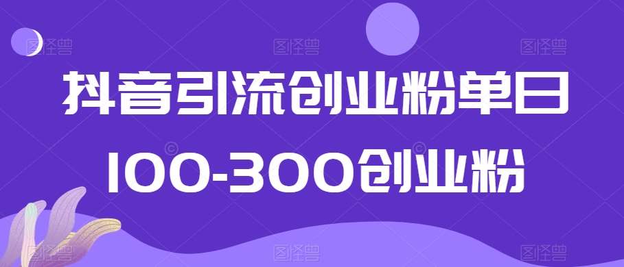 抖音引流创业粉单日100-300创业粉【揭秘】插图