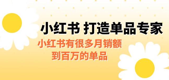 某公众号付费文章《小红书打造单品专家》小红书有很多月销额到百万的单品插图