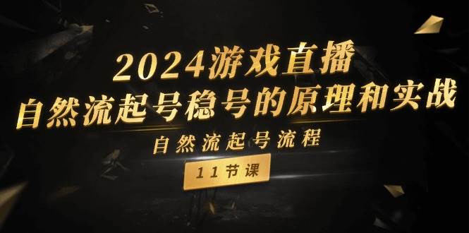 （11653期）2024游戏直播-自然流起号稳号的原理和实战，自然流起号流程（11节）插图