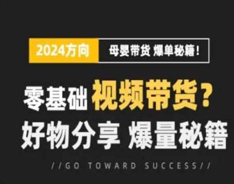 短视频母婴赛道实操流量训练营，零基础视频带货，好物分享，爆量秘籍插图