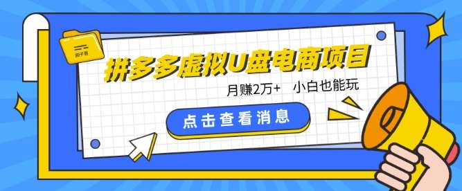 拼多多虚拟U盘电商红利项目：月赚2万+，新手小白也能玩插图