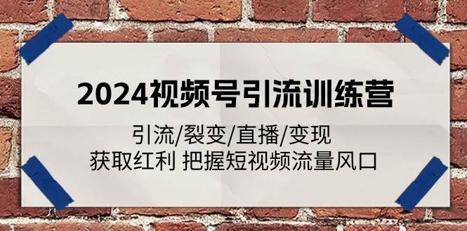 （11337期）2024视频号引流训练营：引流/裂变/直播/变现 获取红利 把握短视频流量风口插图