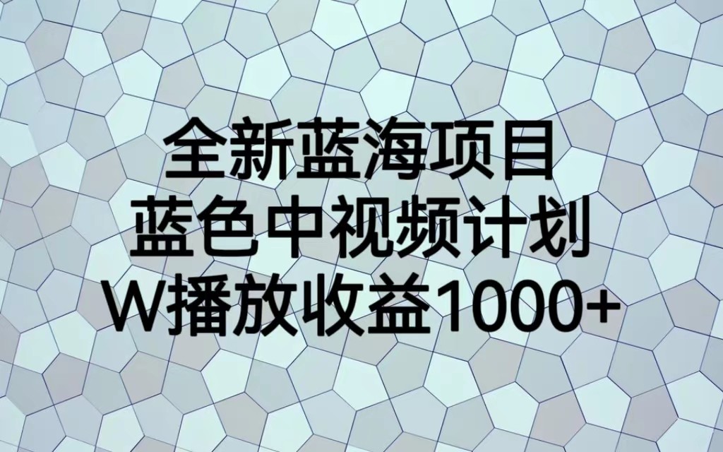 全新蓝海项目，蓝色中视频计划，1W播放量1000+插图