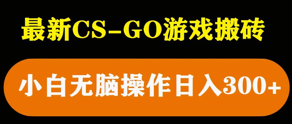 最新csgo游戏搬砖游戏，无需挂机小白无脑也能日入300+插图