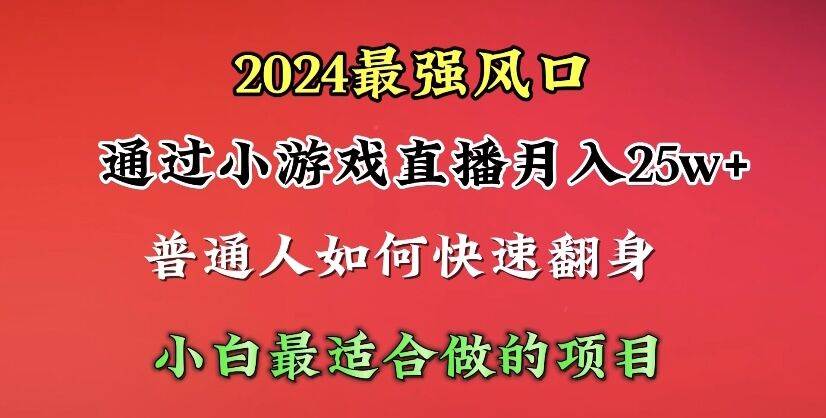 （10020期）2024年最强风口，通过小游戏直播月入25w+单日收益5000+小白最适合做的项目插图