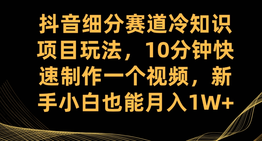 抖音细分赛道冷知识项目玩法，10分钟快速制作一个视频，新手小白也能月入1W+【揭秘】插图