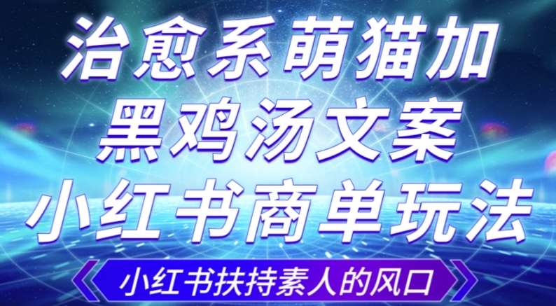 治愈系萌猫加+黑鸡汤文案，小红书商单玩法，3~10天涨到1000粉，一单200左右插图