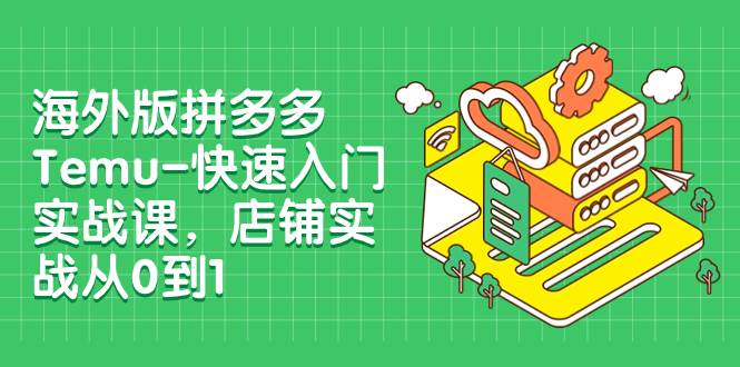 （7876期）海外版拼多多Temu-快速入门实战课，店铺实战从0到1（12节课）插图