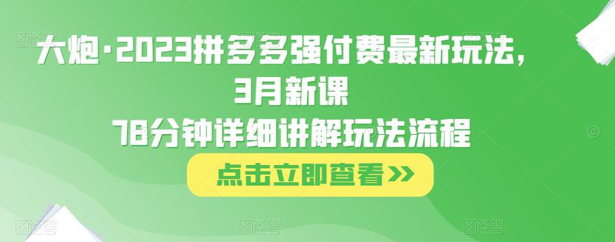 大炮·2023拼多多强付费最新玩法，3月新课​78分钟详细讲解玩法流程插图