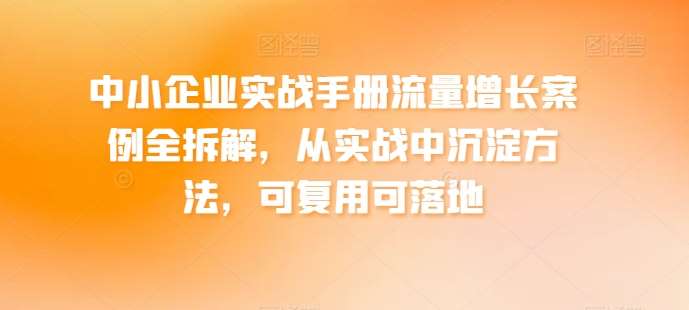 中小企业实战手册流量增长案例全拆解，从实战中沉淀方法，可复用可落地插图