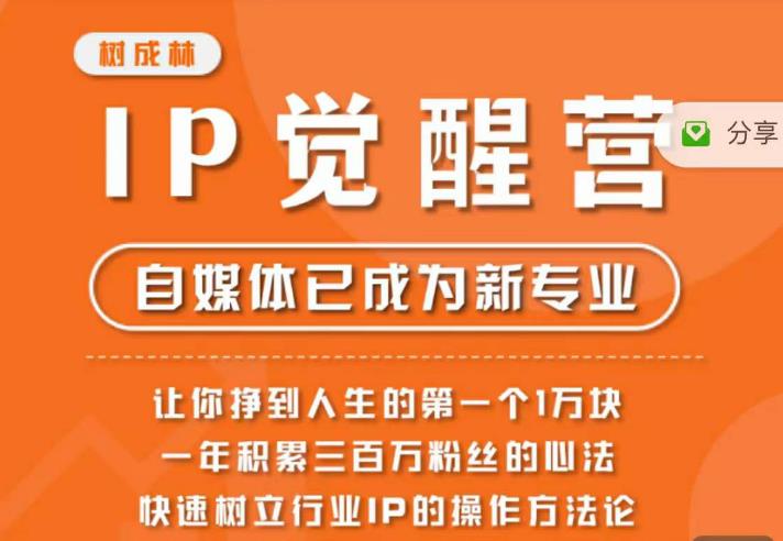 树成林·IP觉醒营，快速树立行业IP的操作方法论，让你赚到人生的第一个1万块（更新）插图