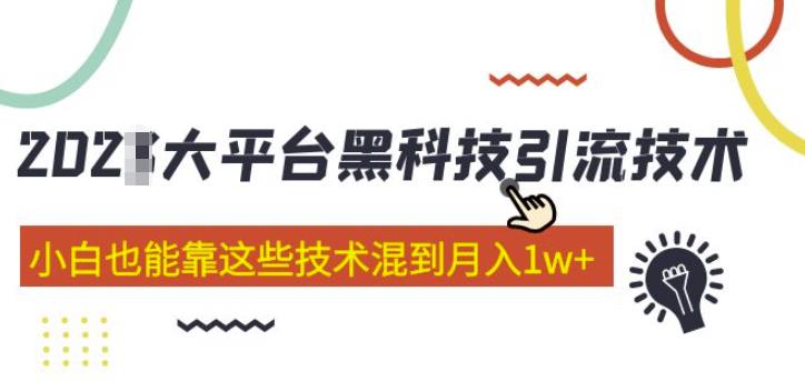 大平台黑科技引流技术，小白也能靠这些技术混到月入1w+(2022年的课程）插图