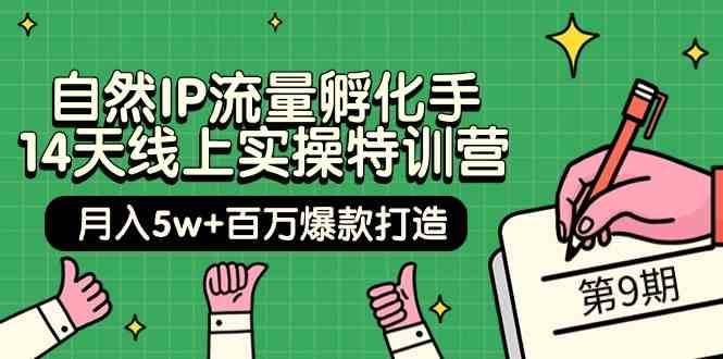 自然IP流量孵化手14天线上实操特训营【第9期】月入5w+百万爆款打造 (74节)插图