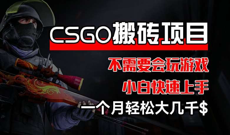 CSGO 装备搬砖项目，操作简单，不需要会玩游戏，小白也能快速上手，一个月轻松大几千【揭秘】插图