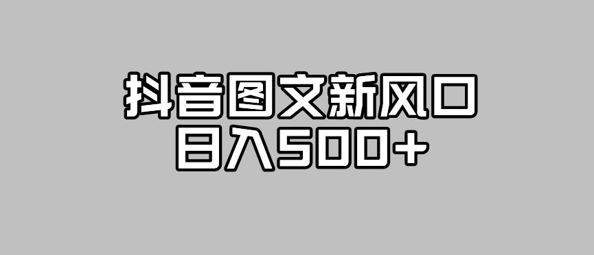 抖音图文最新风口，流量扶持非常高，日入500+【揭秘】插图