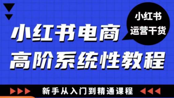 小红书电商高阶系统教程，新手从入门到精通系统课插图