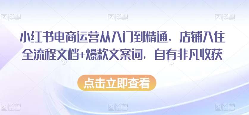 小红书电商运营从入门到精通，店铺入住全流程文档+爆款文案词，自有非凡收获插图