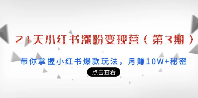 21天小红书涨粉变现营：带你掌握小红书爆款玩法，月赚10W+秘密插图