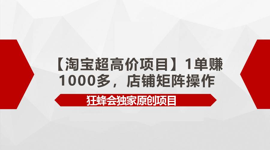 （9849期）【淘宝超高价项目】1单赚1000多，店铺矩阵操作插图