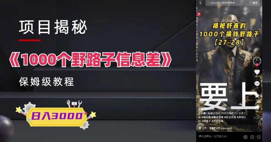 1000个野路子信息差保姆式教程-单日变现3000+的玩法解密插图