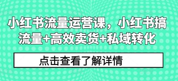 小红书流量运营课，小红书搞流量+高效卖货+私域转化插图