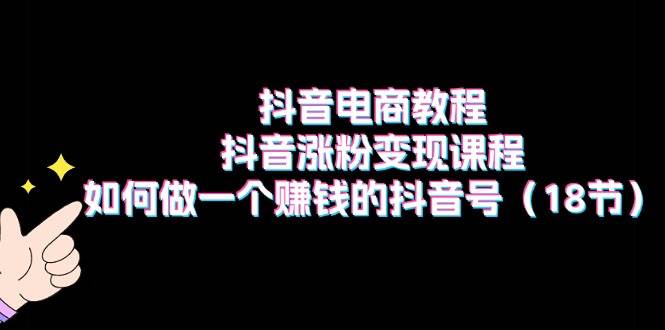 （11436期）抖音电商教程：抖音涨粉变现课程：如何做一个赚钱的抖音号（18节）插图