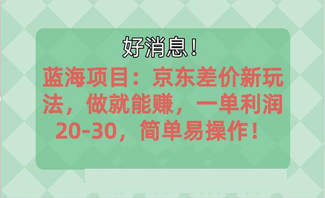 （10989期）越早知道越能赚到钱的蓝海项目：京东大平台操作，一单利润20-30，简单…插图