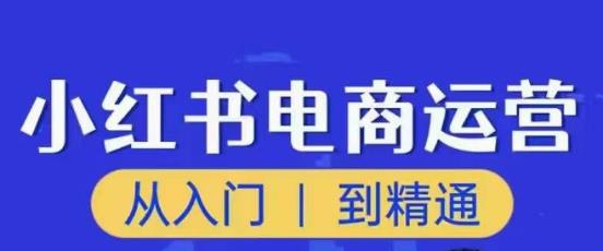 顽石小红书电商高阶运营课程，从入门到精通，玩法流程持续更新插图