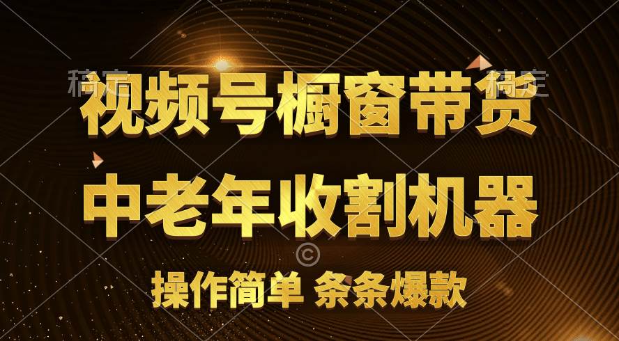 （11009期）[你的孩子成功取得高位]视频号最火爆赛道，橱窗带货，流量分成计划，条…插图