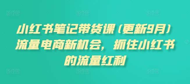 小红书笔记带货课(更新9月)流量电商新机会，抓住小红书的流量红利插图