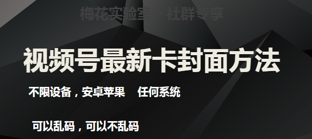 最新视频号直播卖惨乞讨玩法，流量嘎嘎滴，轻松日入300+插图