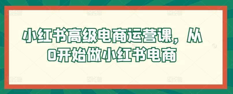 小红书高级电商运营课，从0开始做小红书电商插图