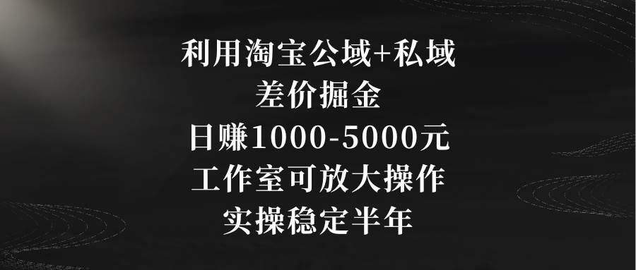 利用淘宝公域+私域差价掘金，日赚1000-5000元，工作室可放大操作，实操…插图