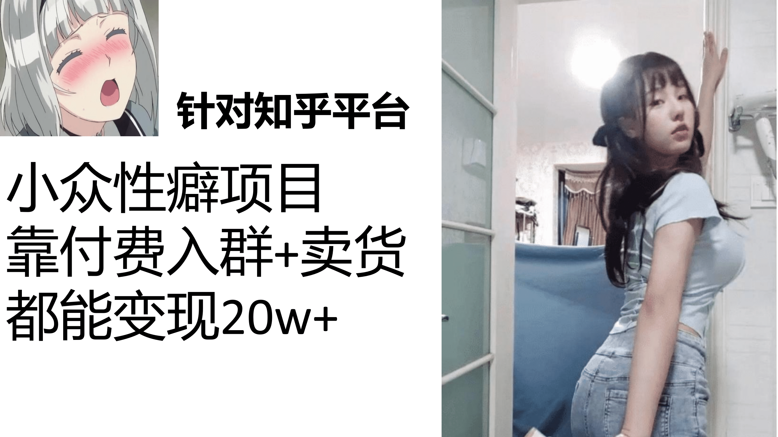 知乎小众性癖项目，Lsp的钱才是最好赚的，付费建群+卖货变现20w插图