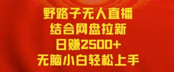 野路子无人直播结合网盘拉新，日赚2500+，小白无脑轻松上手【揭秘】插图