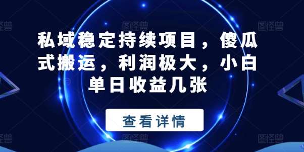 私域稳定持续项目，傻瓜式搬运，利润极大，小白单日收益几张【揭秘】插图