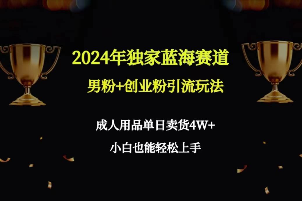 （9112期）2024年独家蓝海赛道男粉+创业粉引流玩法，成人用品单日卖货4W+保姆教程插图