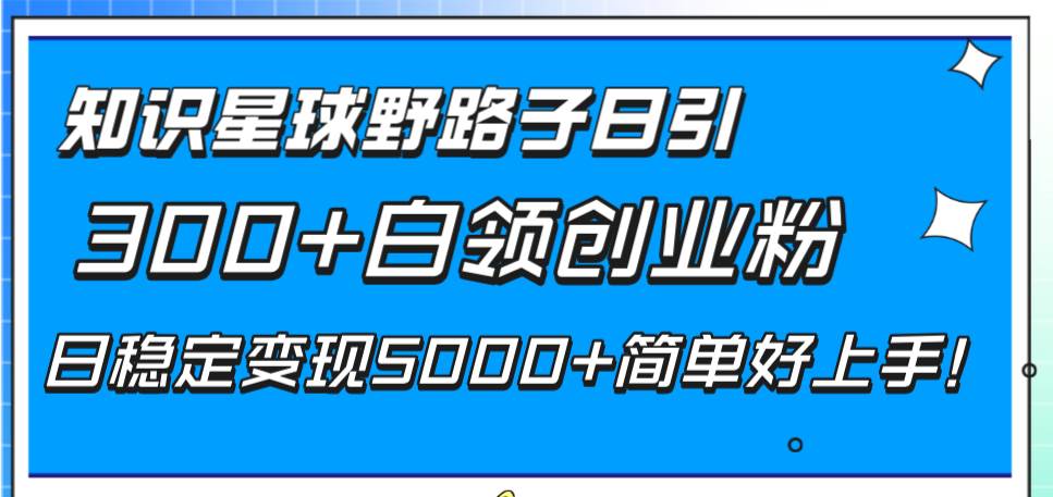 （8315期）知识星球野路子日引300+白领创业粉，日稳定变现5000+简单好上手！插图