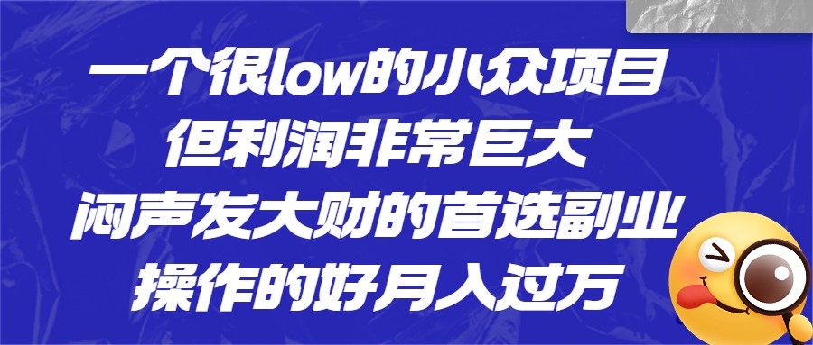 一个很low的小众项目，但利润非常巨大，闷声发大财的首选副业，操作的好月入过万插图