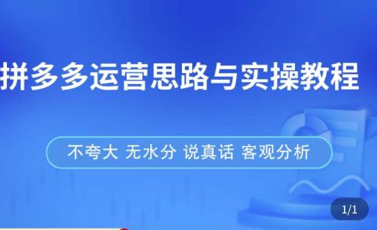 拼多多店铺运营思路与实操教程，快速学会拼多多开店和运营，少踩坑，多盈利插图