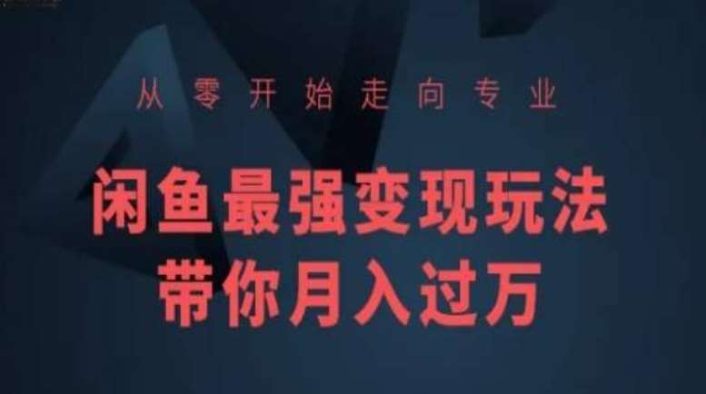 从零开始走向专业，闲鱼最强变现玩法带你月入过万插图