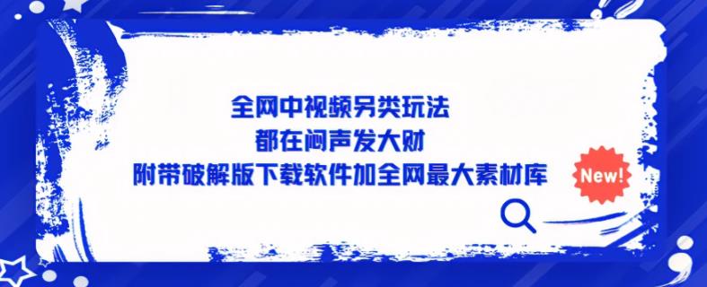 全网中视频另类玩法，都在闷声发大财，附带破解版下载软件加全网最大素材库插图