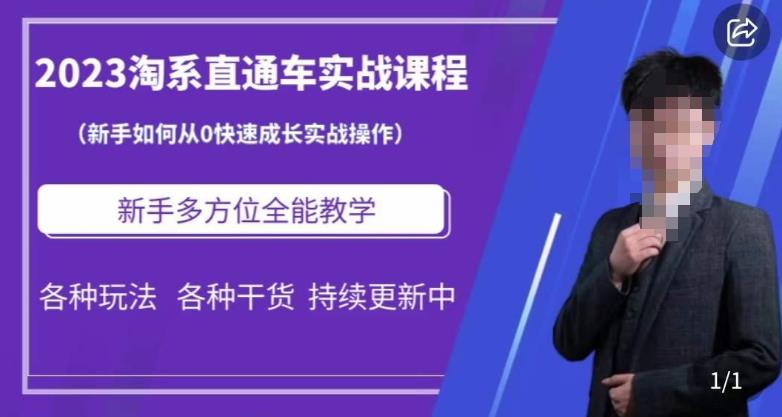 2023淘系直通车保姆式运营讲解，新手如何从0快速成长实战操作，新手多方位全能教学插图